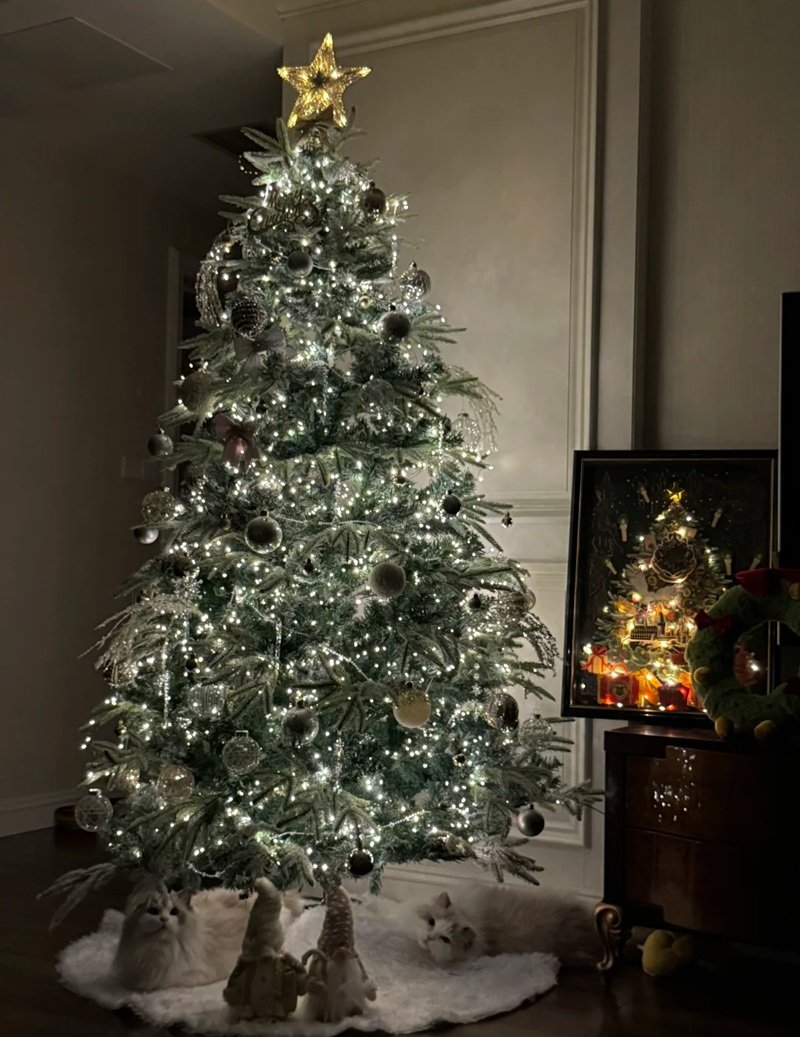Trang trí cây thông noel rực rỡ sắc màu