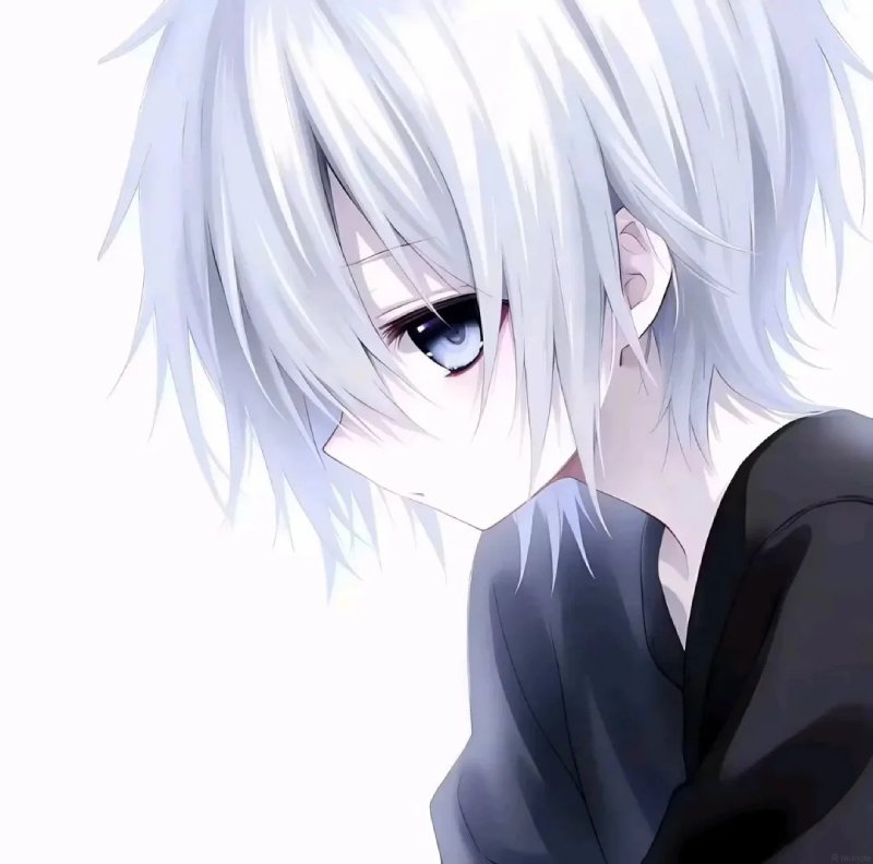 avatar anime nam sáng 22