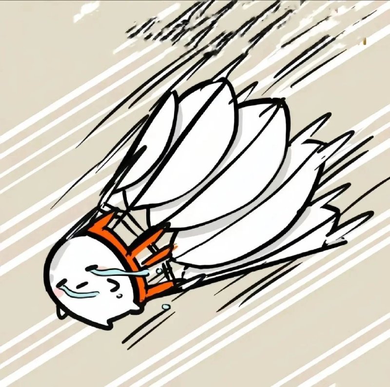 avatar cầu lông 13
