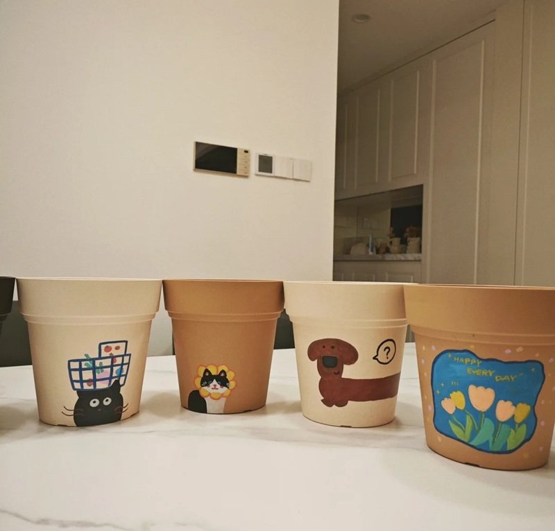 trang trí chậu cảnh 2