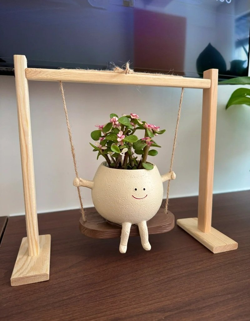trang trí chậu cảnh 25