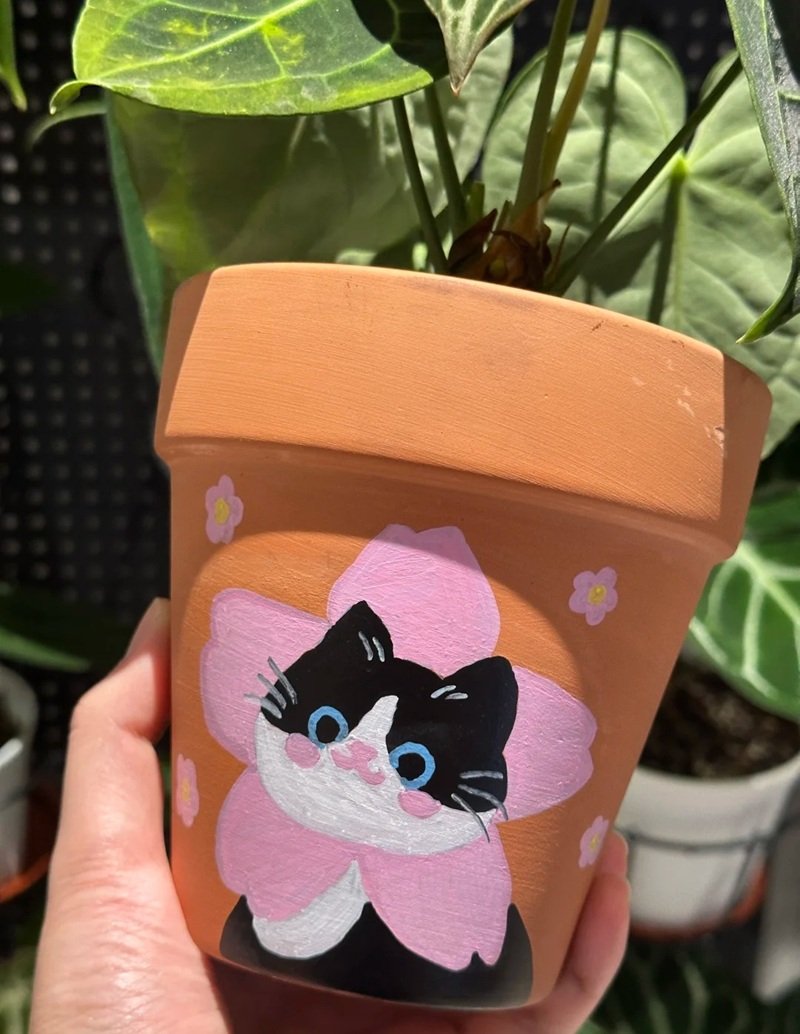 trang trí chậu cảnh 38