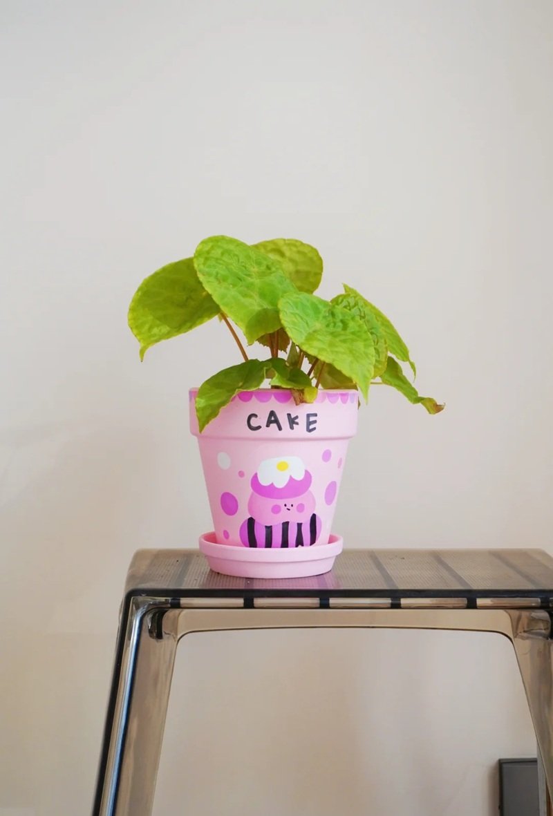 trang trí chậu cảnh 6
