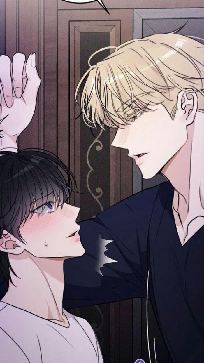 Ảnh sẽ gầy anime làm hình nền máy tính