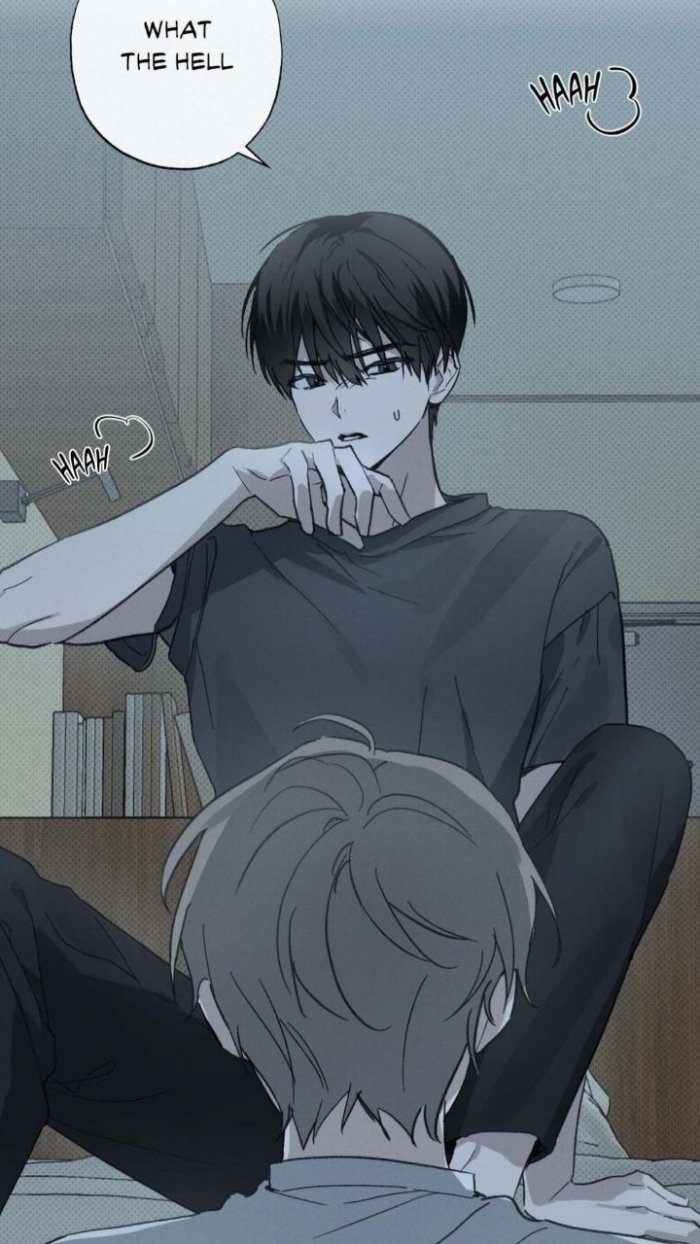 Ảnh sẽ gầy anime phong cách dễ thương