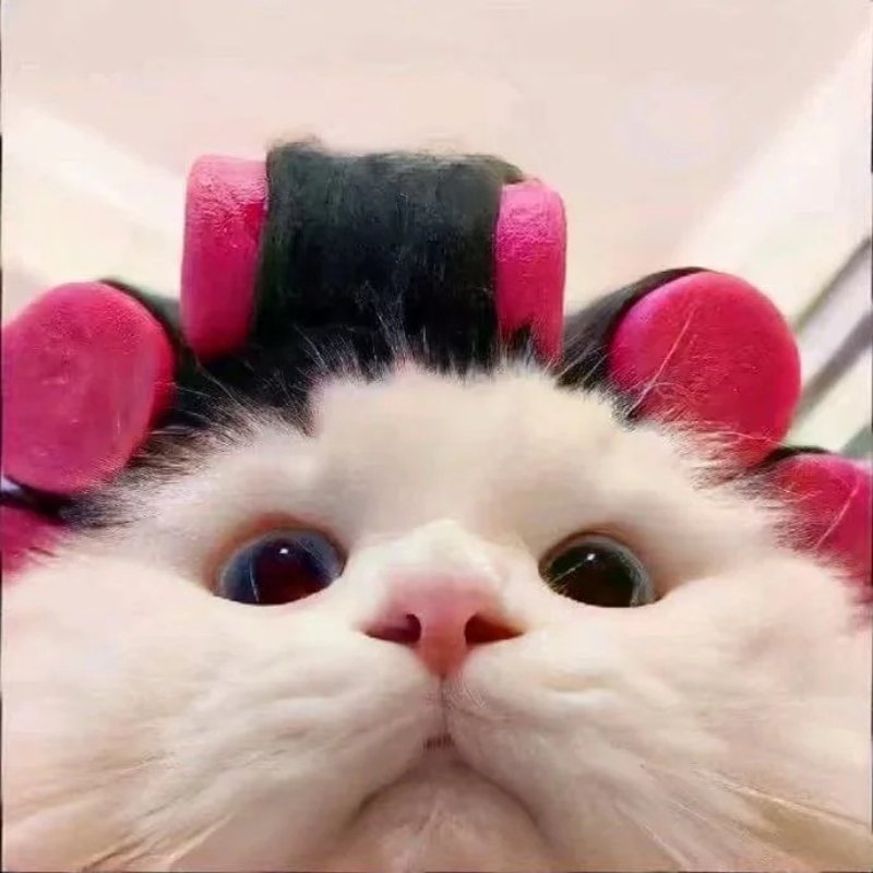 Avatar nữ xinh cute cho Facebook