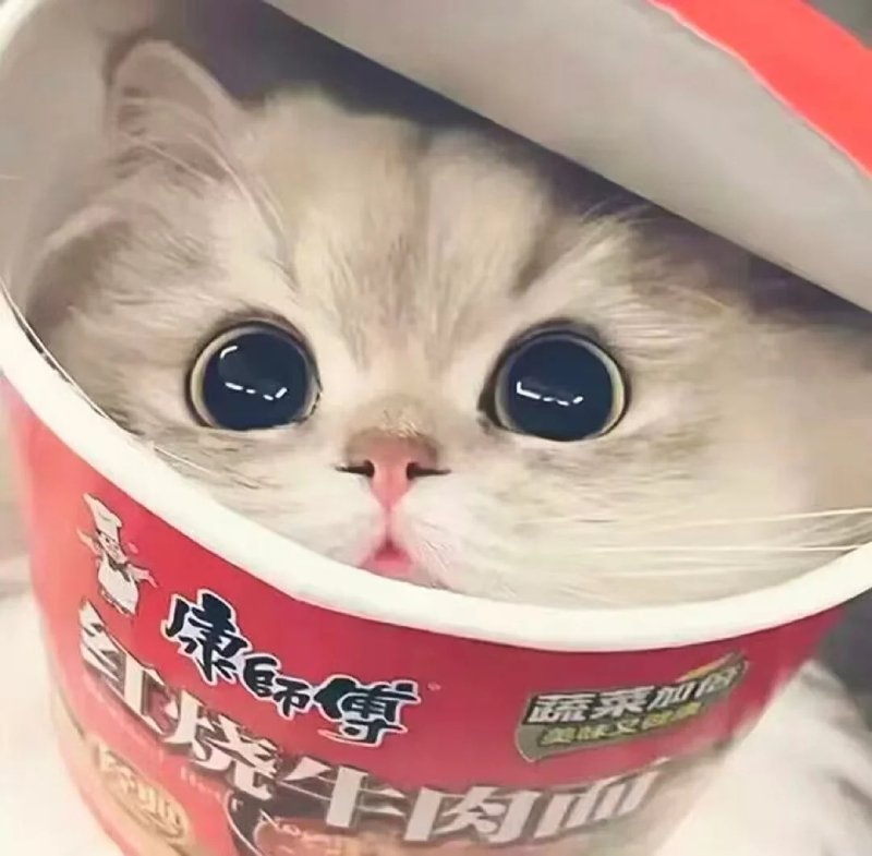 Top 36 ảnh đại diện đẹp cho nữ cute đẹp tự nhiên