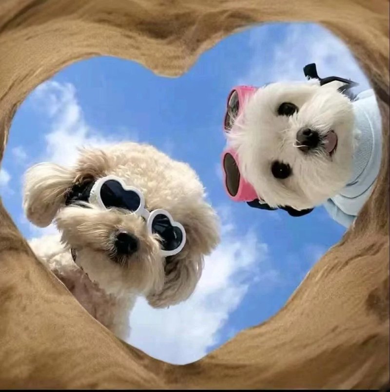 Top 36 ảnh đại diện đẹp cho nữ cute cho TikTok