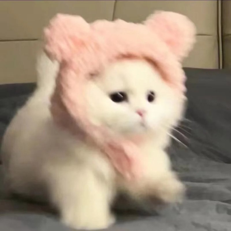 Top 36 ảnh đại diện đẹp cho nữ cute tải miễn phí