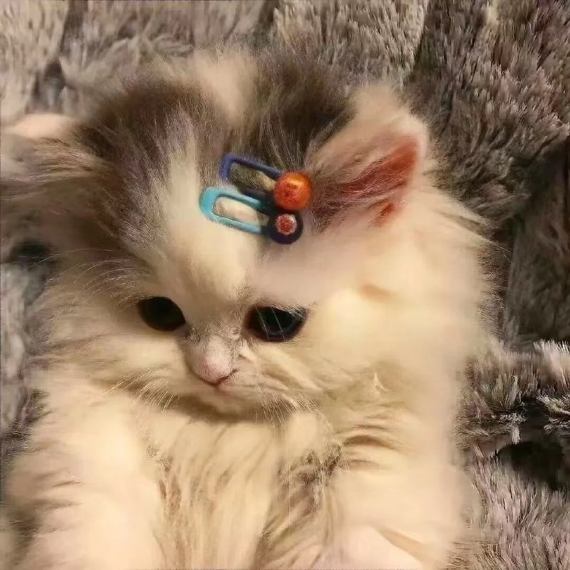Top 36 ảnh đại diện đẹp cho nữ cute hot trend 2026