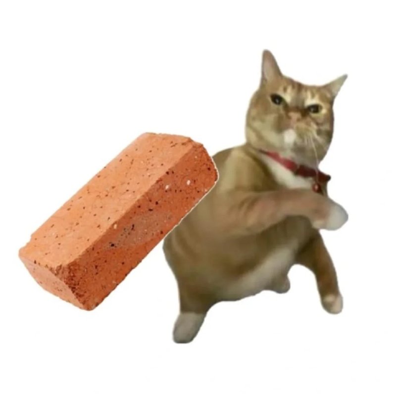 Hình meme hài làm ảnh đại diện