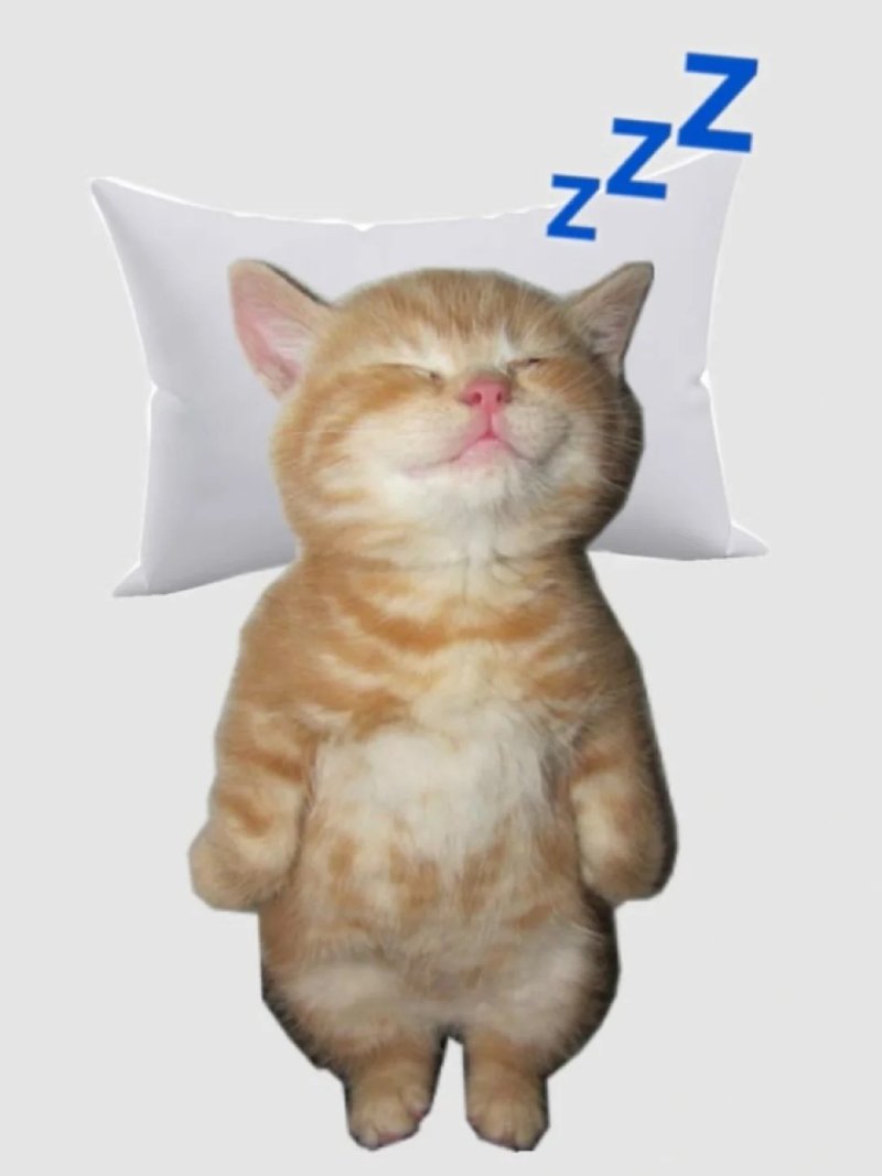 Bộ sưu tập ảnh đại diện meme đẹp