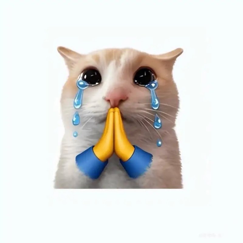 Ảnh đại diện meme cho TikTok đẹp