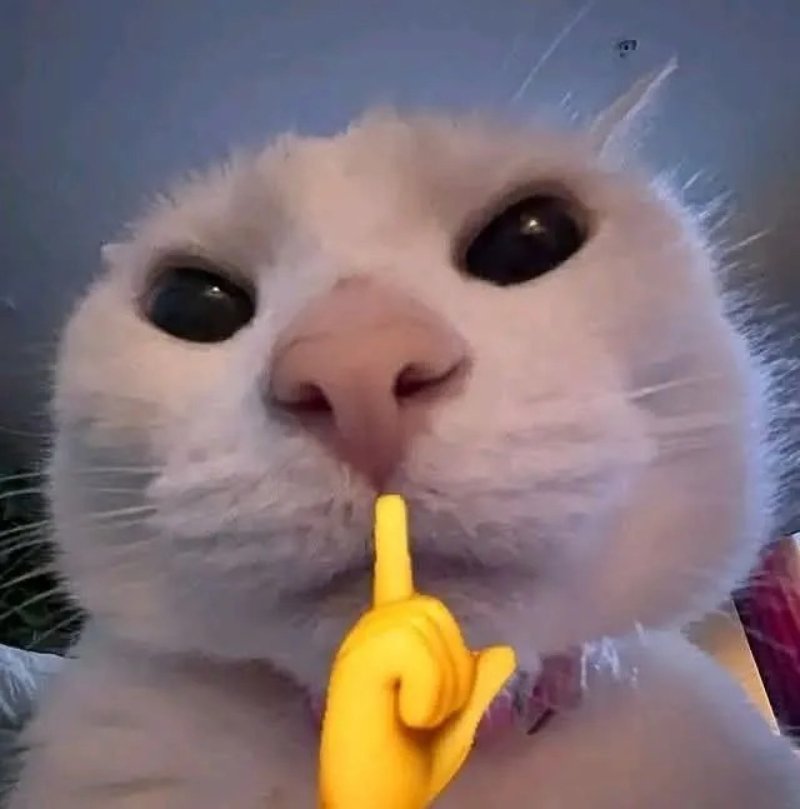 Ảnh đại diện meme viral mới nhất