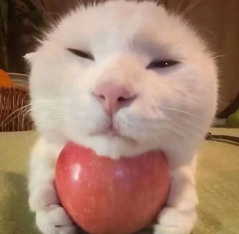 Avatar meme buồn hài hước độc đáo