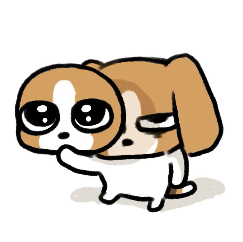 Ảnh đại diện meme vô tri độc đáo