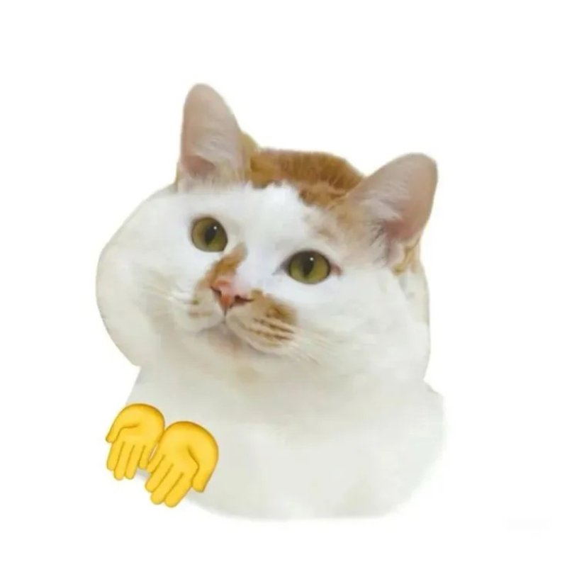 Avatar meme dễ thương chất lượng cao